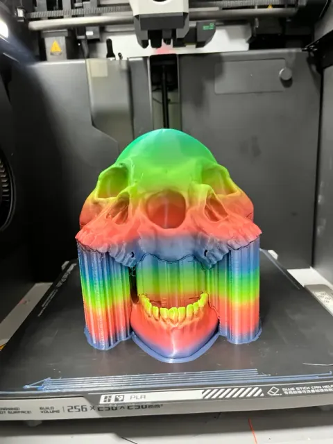 Cojoined Skull [Remix] — Фото 6 из 7