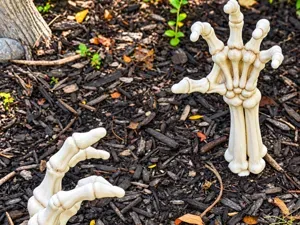 Skeleton Hands Rising From Ground Halloween Decor