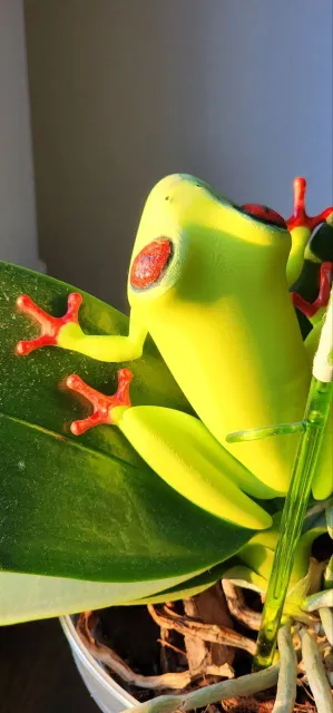 Frog Tree — Image 7 of 7