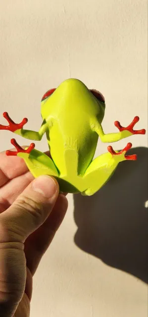 Frog Tree — Image 6 of 7