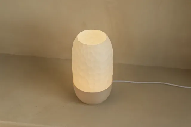 Table Lamp - with Bionic Pattern — Image 8 of 13