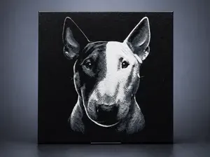 Bull Terrier dog