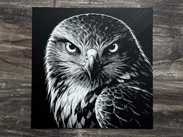 Hawk HueForge Wildlife Series
