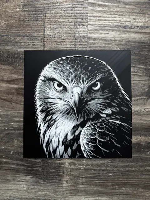 Hawk HueForge Wildlife Series — Фото 2 из 5