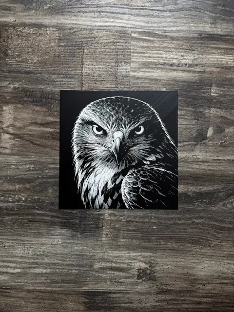 Hawk HueForge Wildlife Series — Фото 3 из 5