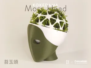 Mosshead Kokedama