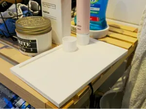 Dual toothbrushholder with plate for toothpaste
