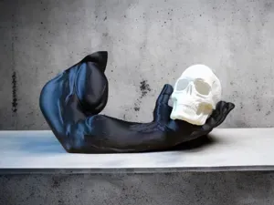 Inverted Vanitas