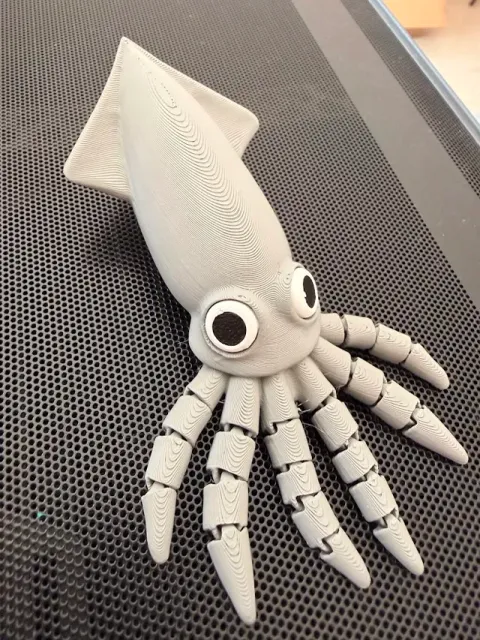 Cute Flexi Squid – Print-in-Place Articulated Toy — Фото 13 из 14