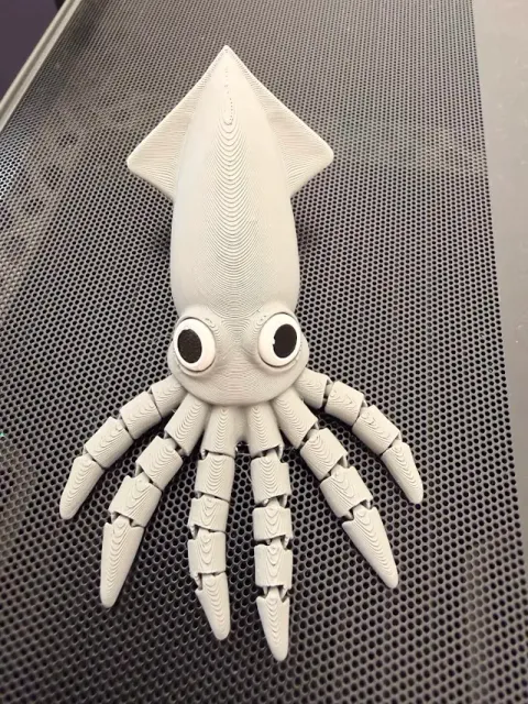 Cute Flexi Squid – Print-in-Place Articulated Toy — Фото 12 из 14