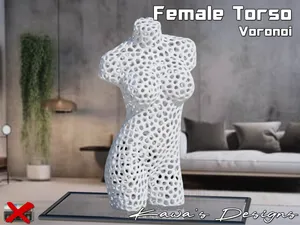 Female Torso Voronoi