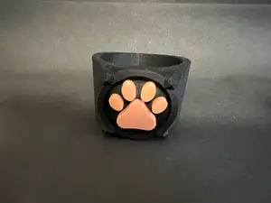 Cat Noir - Ring - Miraculous Ladybug