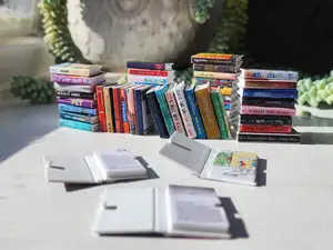 Mini Foldable Books
