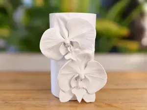Planter Orchidee