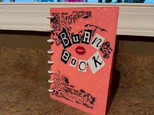 Mean Girls burn book A5 discbound notebook
