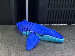 The little whale that wakes us up