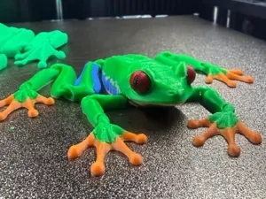 Articulated Red-Eyed Tree Frog