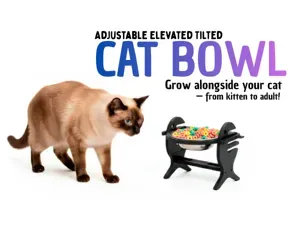 Ergonomic Cat Bowl