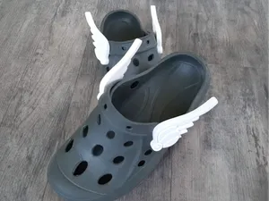 Shoes of Hermes, messenger of the gods