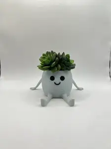 Happy Pot - Mini Succulent Planter