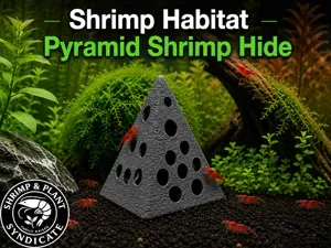 Shrimp Hide Pyamid