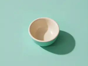 碗-厨房用品幼儿认知百科-儿童涂色过家家玩具