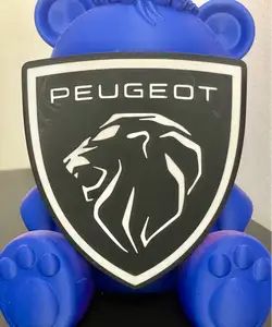 Coaster Peugeot
