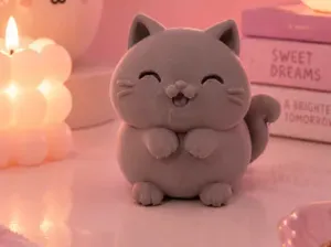 Chonky Happy Cat