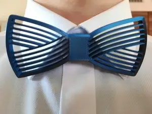 Fliege / Papillon / bow-tie Mode Accessoire