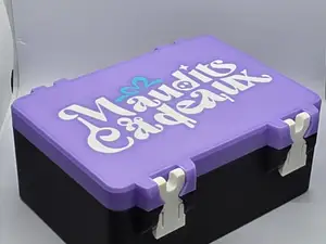 Boite de rangement jeu de cartes Maudits Cadeaux