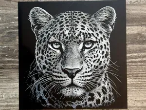Leopard Wildlife Series