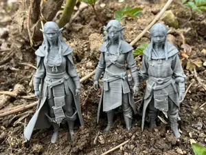 Elves like from Lord of the Rings