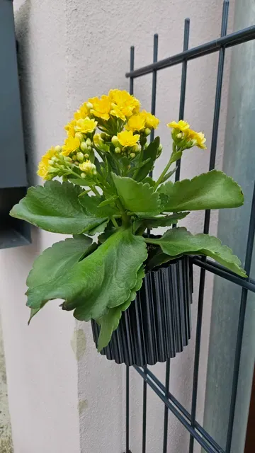 Blumentopf- Pflanztopf für den Zaun (Fäncel-Modul) — Фото 3 из 9