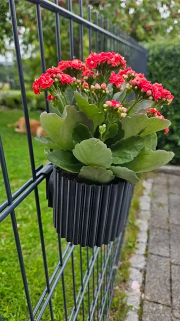 Blumentopf- Pflanztopf für den Zaun (Fäncel-Modul) — Фото 2 из 9