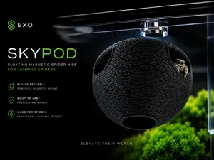 Exo SkyPod - Magnetic Ceiling Spider Hide