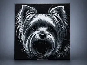 Yorkshire Terrier dog
