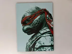 Teenage Mutant Ninja Turtles - 1 Print for 4 TMNT