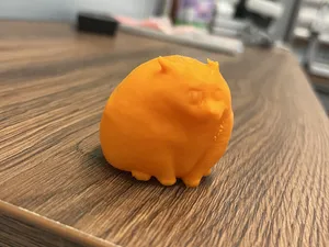 котость