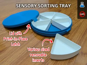 Sensory Sorting Tray With Lid & Removable Inserts