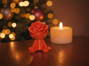 Scarlet Heart Blossom
