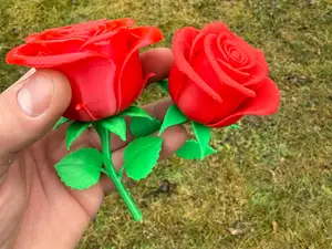 Beautiful realistic Valentine roses