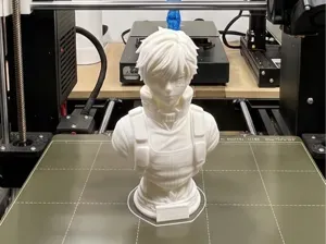Shoto Todoroki Bust 3D Print Model