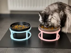 (parametric) Pet Bowl Riser