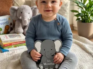 Elephant milestone plaque for baby photos 11 month
