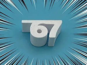 67 Whistle (6 or 7 grams)