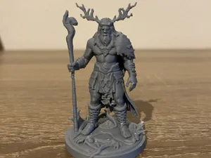 Dungeons&Dragons Natur Druide