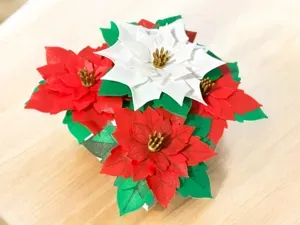 Flor de noche buena (poinsettia)
