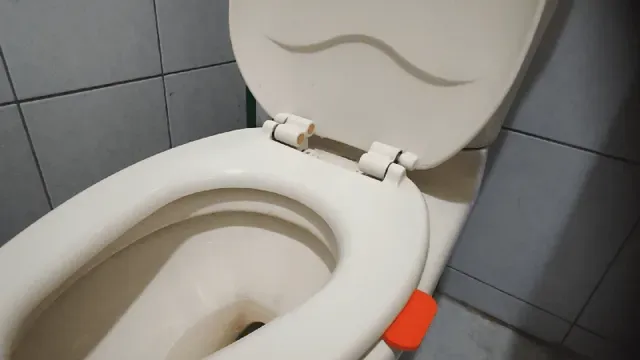 Toilet Seat Pad Handle