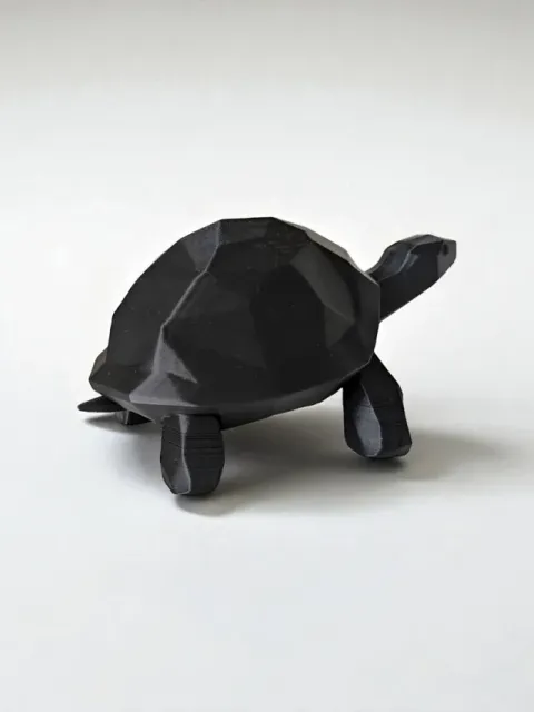 Walking Low Poly Turtle — Фото 6 из 6