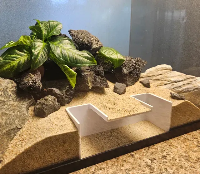 Simple Aquarium Swim Through Cave — Фото 3 из 4